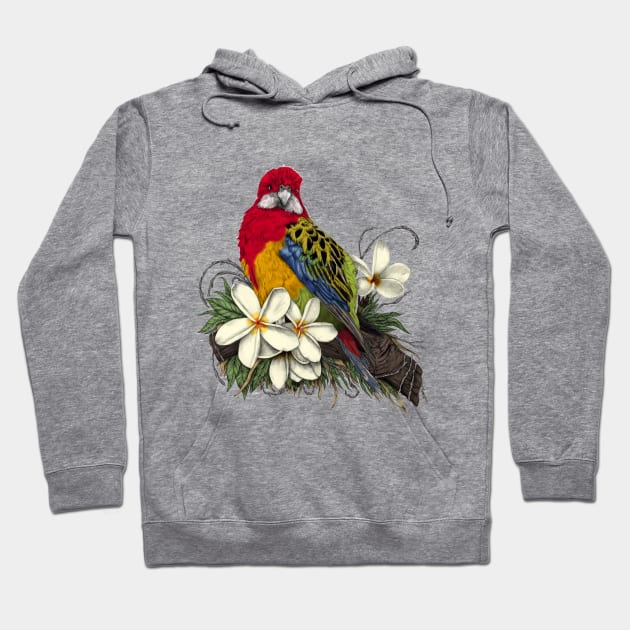 Eastern Rosella and Plumerias Hoodie by jamieroberts